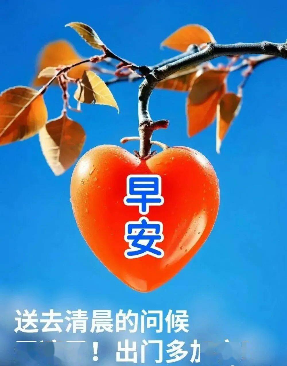 今日最新早安温馨祝福图片带字,群发早上好问候祝福语精选!