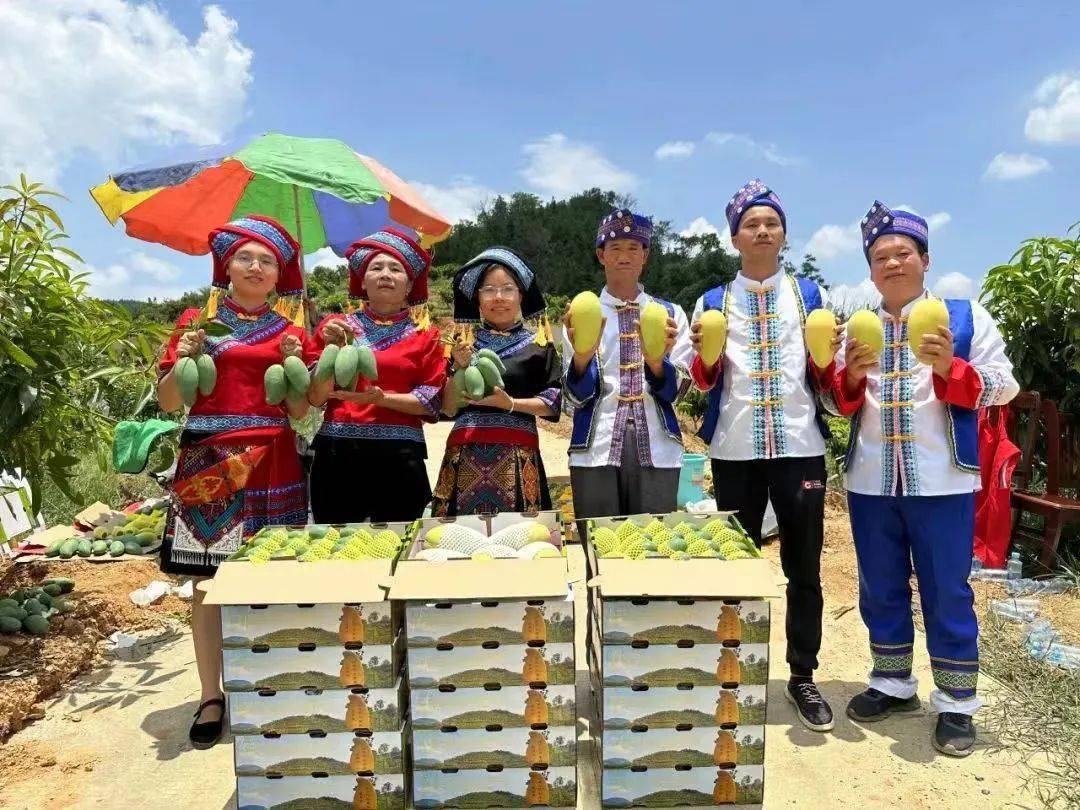 东兰县大同乡信河村将获财政奖励_自治区_乡村_集成