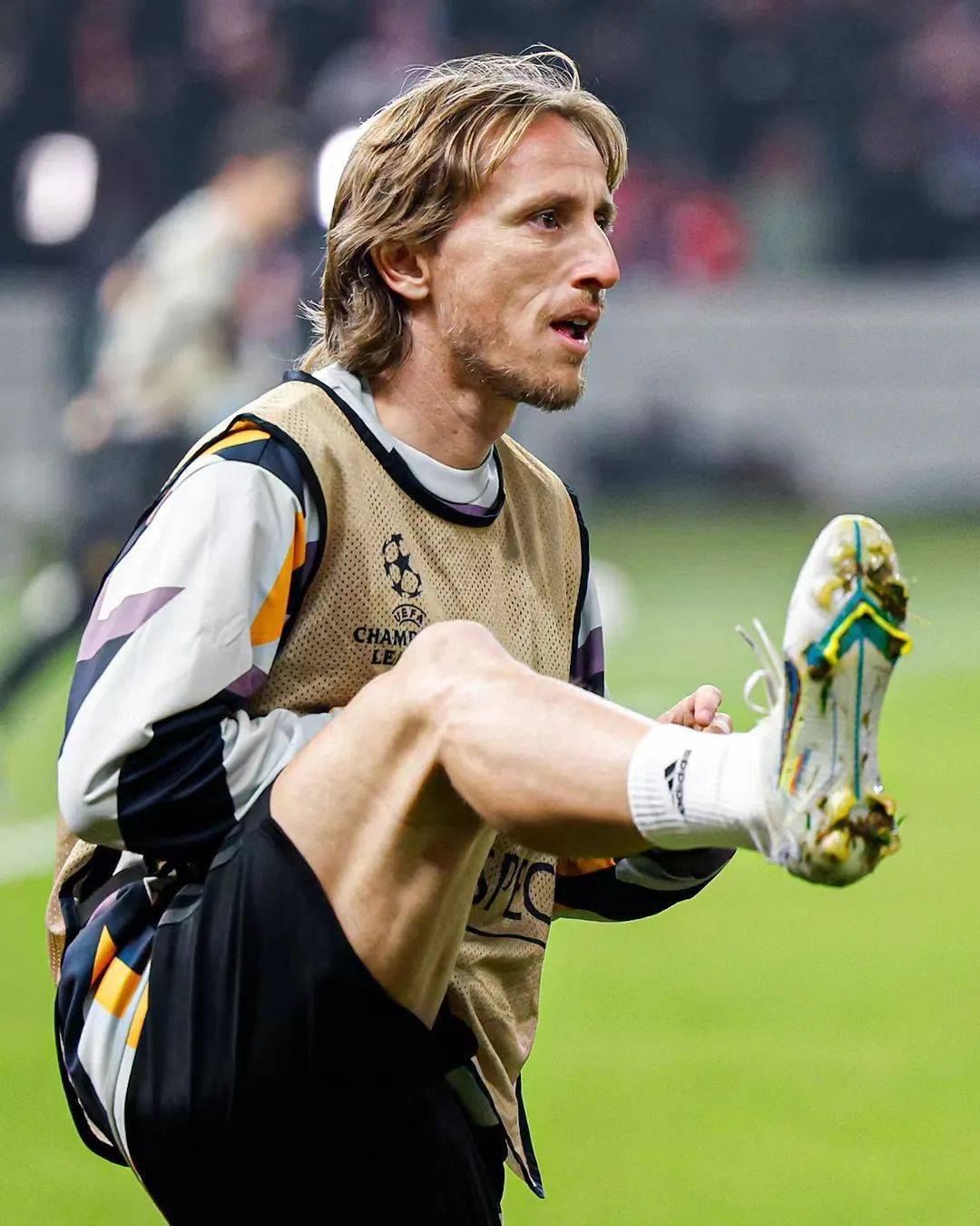 何塞卢_弗兰·加西亚_贝林厄姆