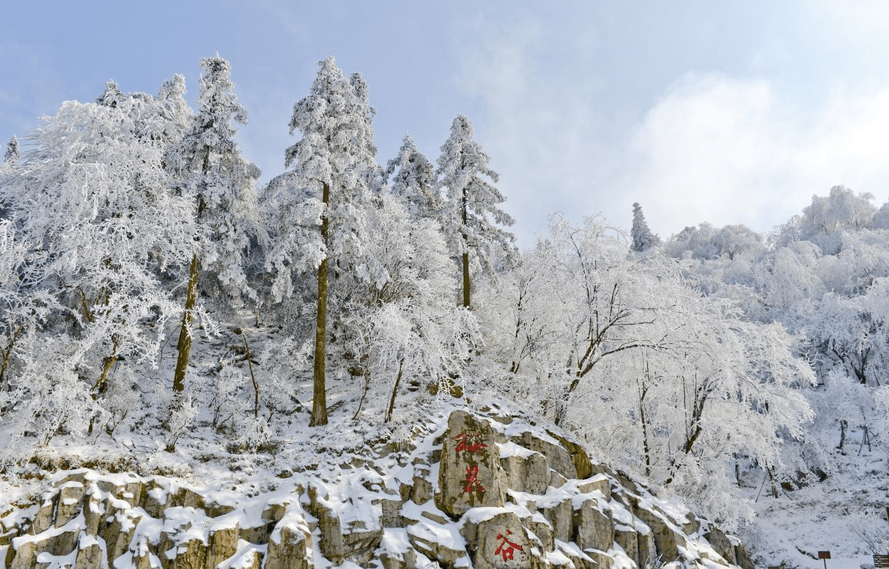 冬天就在湖南赏雪 10个自然保护地赏雪指南提前知_雪景_雾凇_陈双兰
