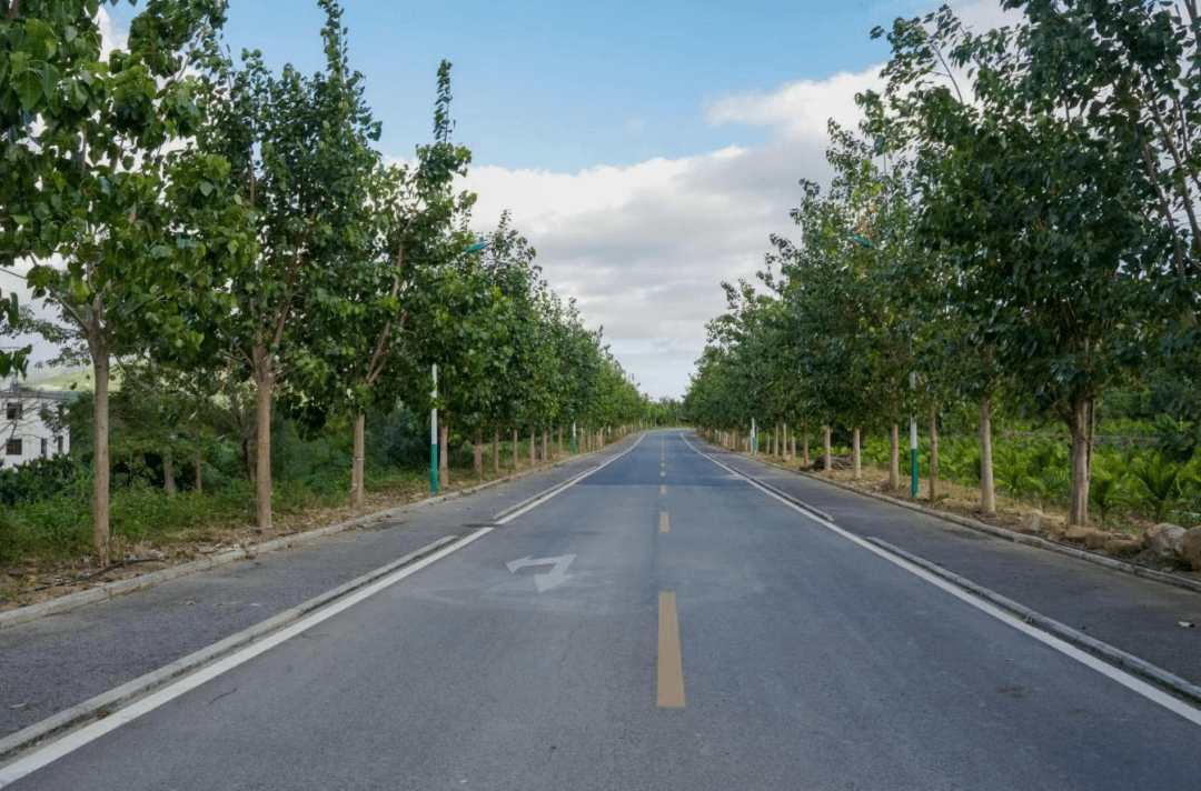 陵水这条"美丽农村路"上榜→_路段_名称_公路