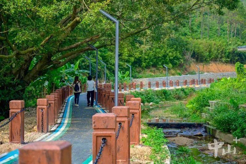 中山又一条新绿道开放,直通大尖山!