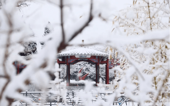 吉林工商学院雪景图片