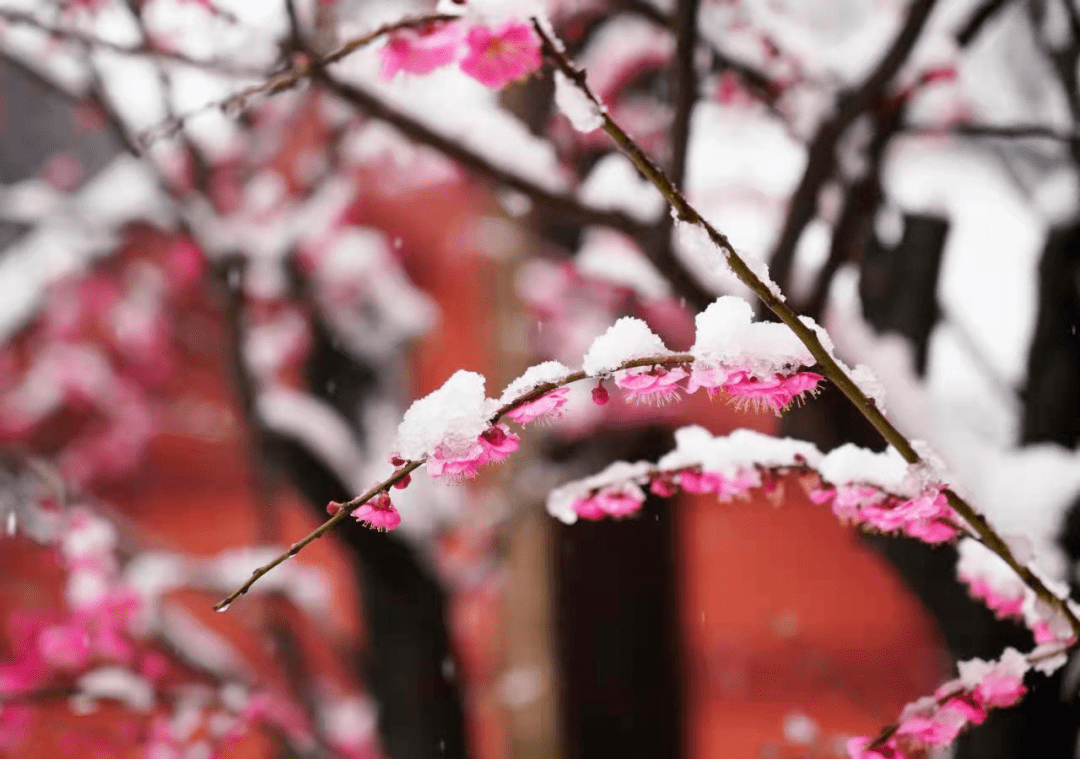 相遇冬天江南的第一场雪!潮拍临安,奖你手机