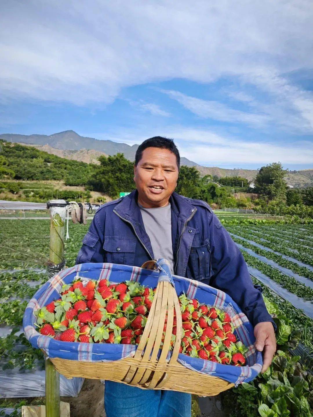 暖暖的花城 | 小草莓种出幸福"甜日子"_李世明_中坝村_销售