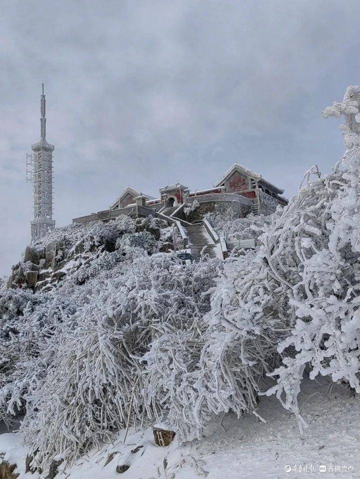 雪后泰山,宛如冰雪世界_西北_大部地区_中山区