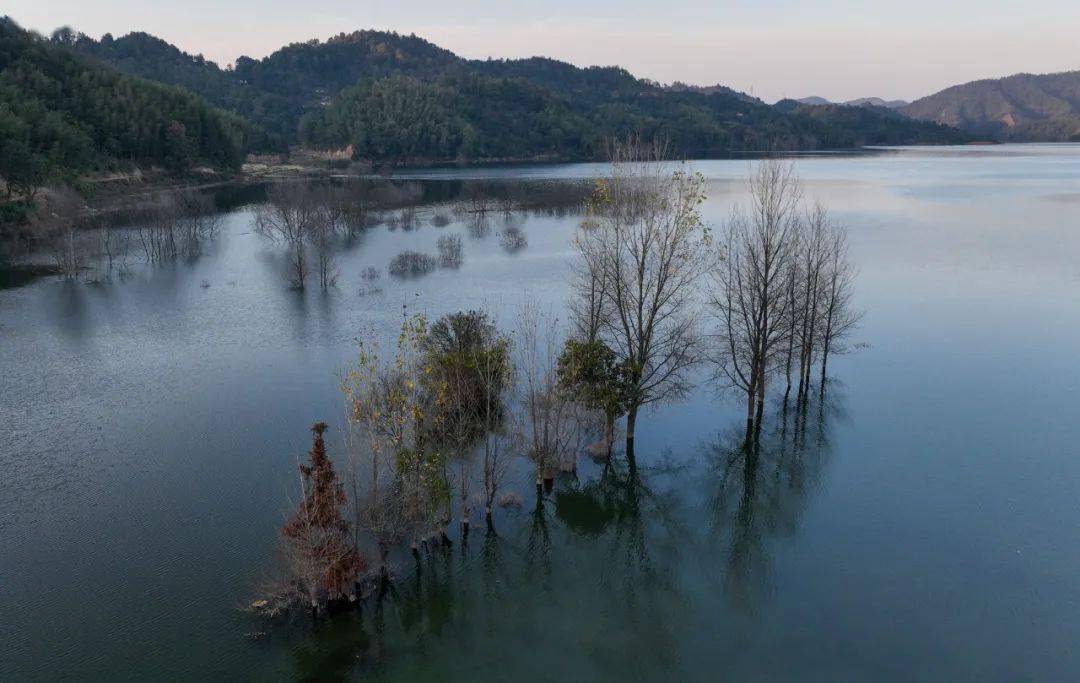 四方井水质究竟如何?听听他们怎么说～_宜春_供水_水库