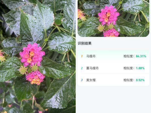 浙江上線生物多樣性小程序:可拍照識別動植物,查看物種分佈_開發_公眾