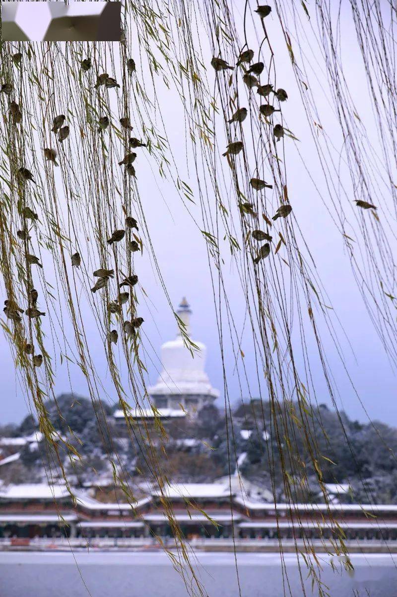 京城拍客