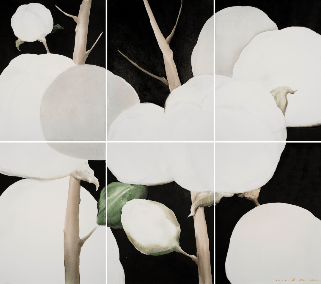 他用水彩留白画出棉花的层次_李宝_作品_材料