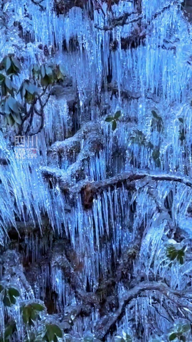 冰川遗迹景观图片