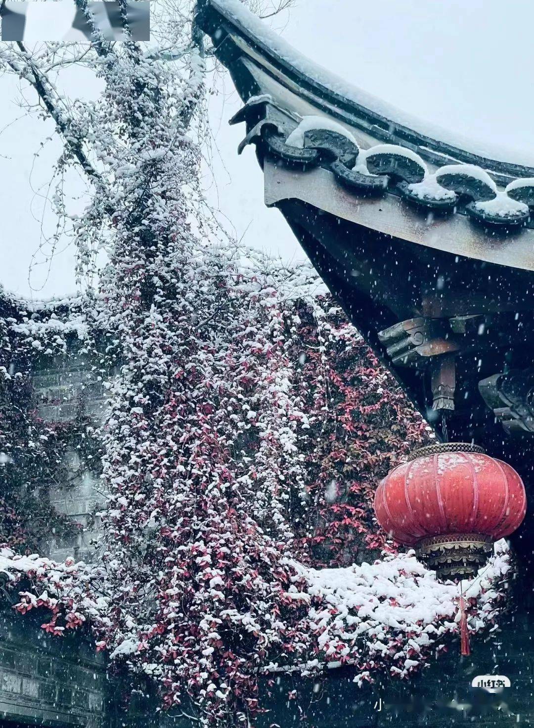 南京_审核_金陵