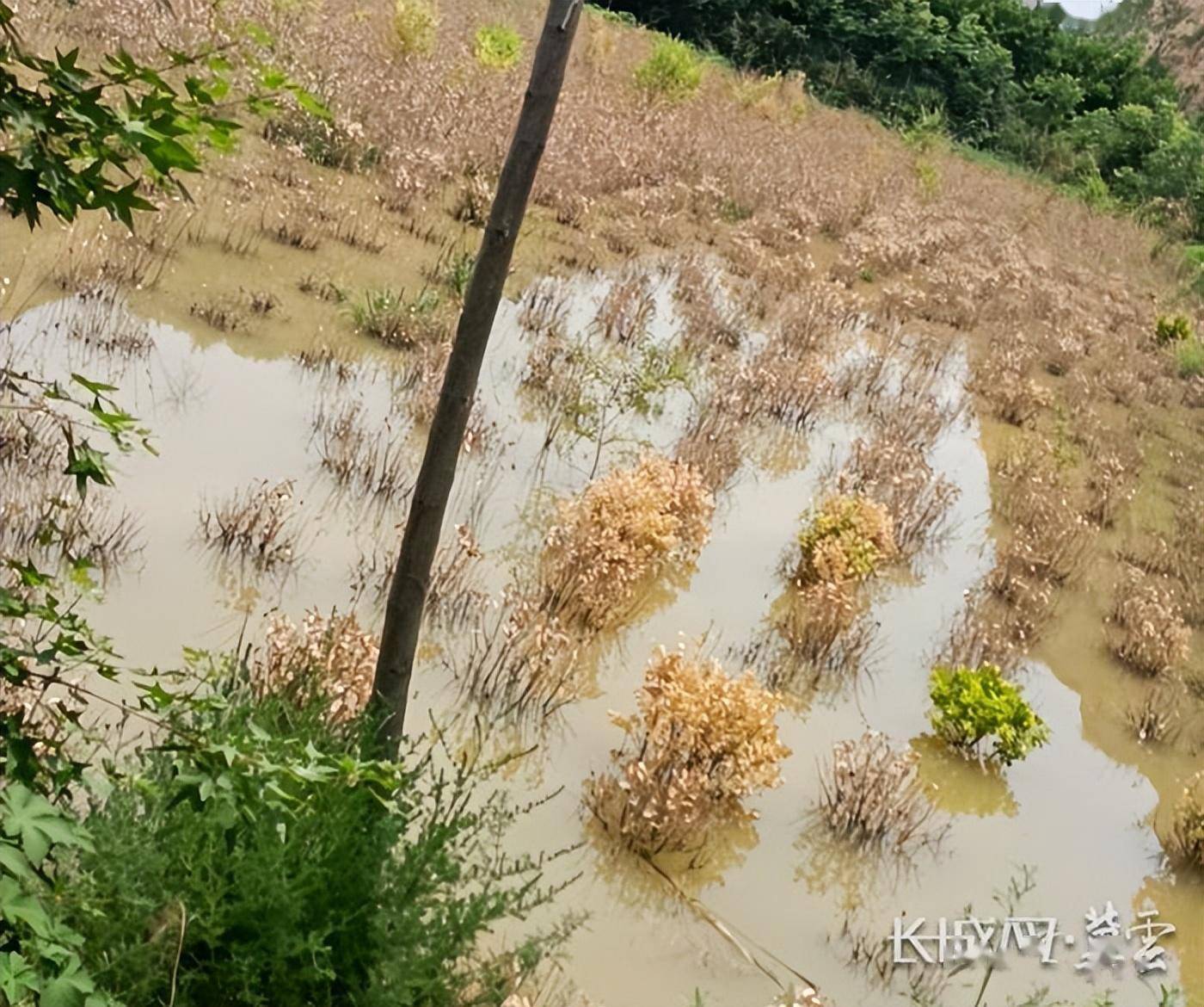 樊家溝_土地_排放