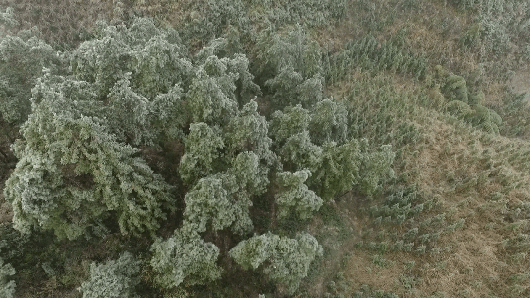 在本輪寒潮天氣中,桂林高寒山區及中北部局部有凍雨或雨夾雪,部分地區