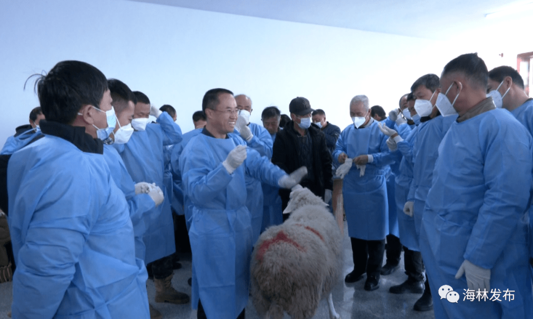 学习内容包括动物疾病知识理论,羊颈静脉采血,鸡翅静脉采血,鸡体解剖