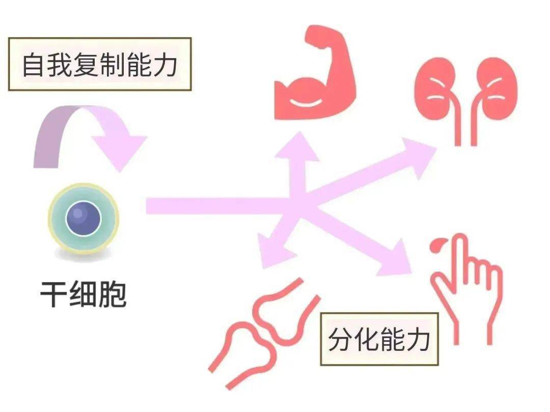 彙總| 2023細胞行業政策年度盤點_產品_管理_指導