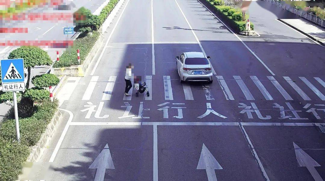 斑馬線前不禮讓行人,你被點名了!_機動車_道路_車牌