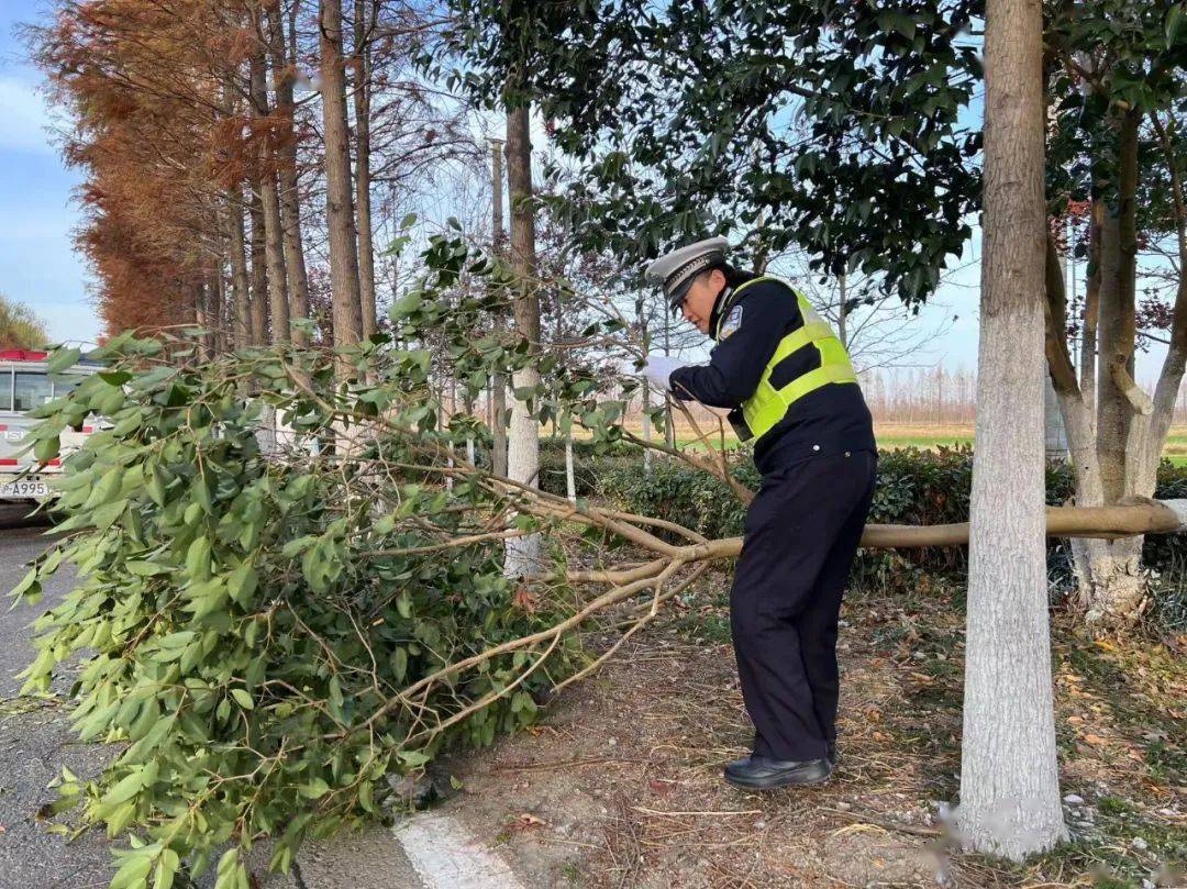 祭扫高峰遇上寒潮,崇明公安全力守护!_场所_工作_活动