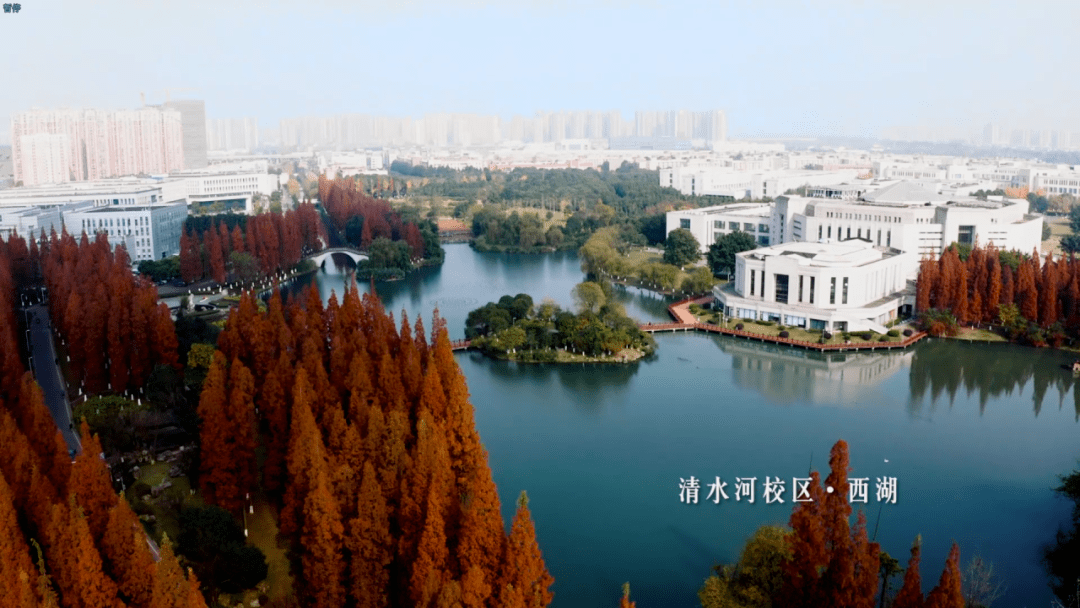 這些大學已對外開放,週末快帶娃兒去耍!_校區_校園_江安