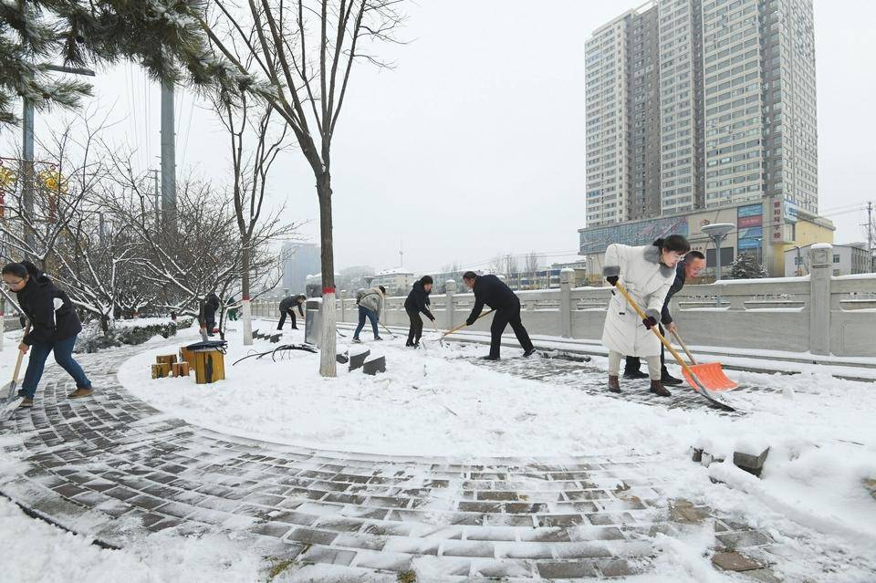 戰寒潮 保民生_積雪_保障_鄉寧