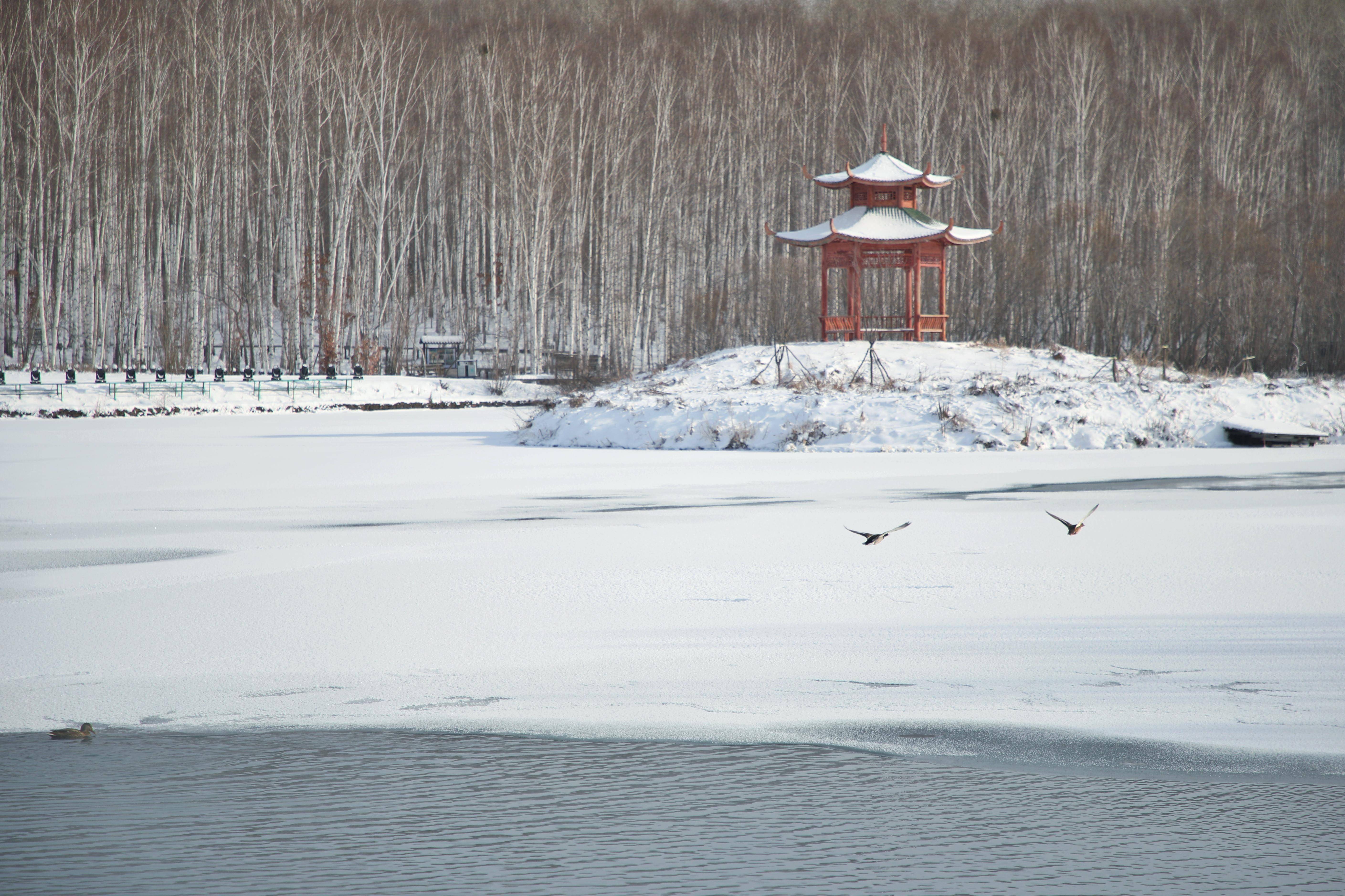 长白山冬季景色图片