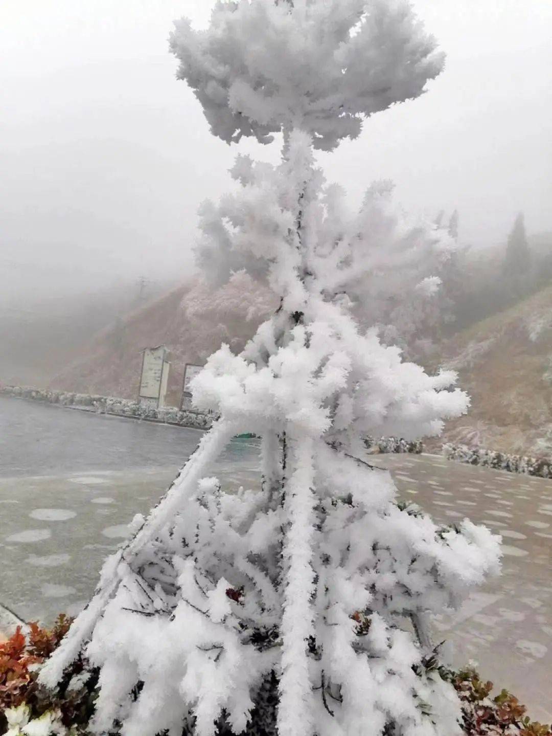 天湖雪景图片