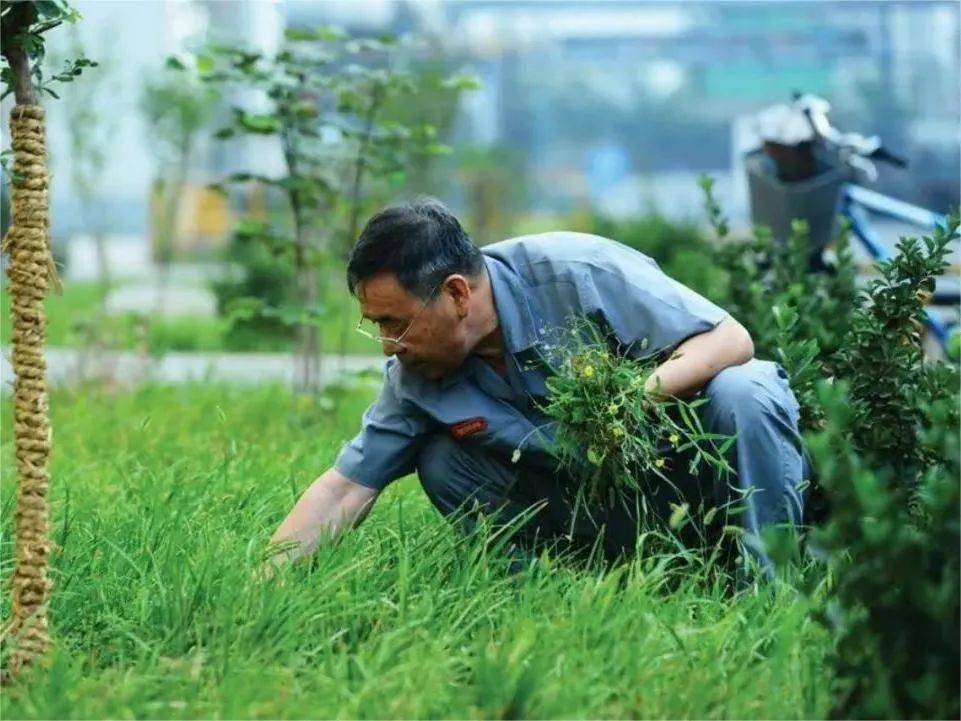 李趕坡_平山縣_河北