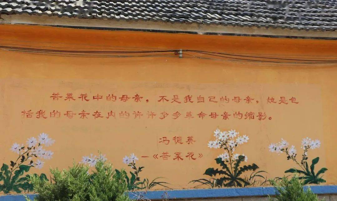 乡村文化振兴丨威海乳山市冯家镇观上冯家村入选省名单!