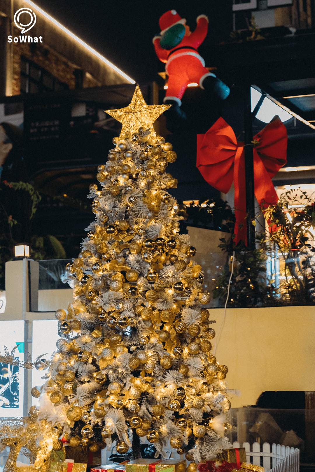 圣诞树"内卷现场" -- merrychristmas -每到圣诞节期间,各种各样不