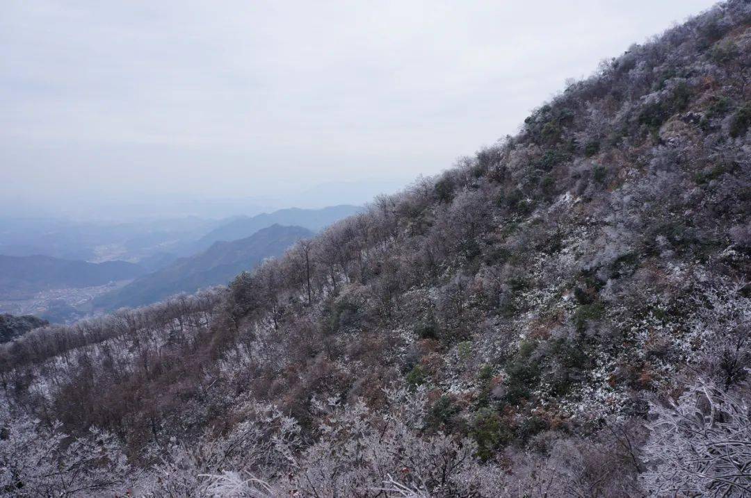 诸暨这座山上,出现大地之父……