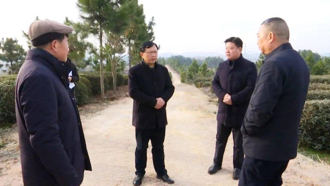 红安两重点项目又有进展→_胡广_永佳河镇_情况