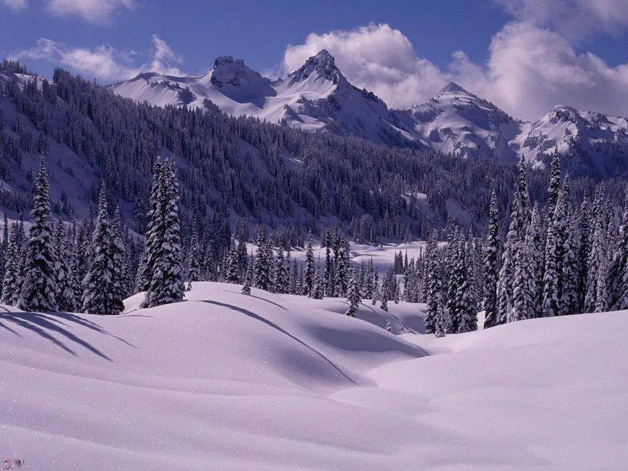 冰雪世界,浪漫唯美