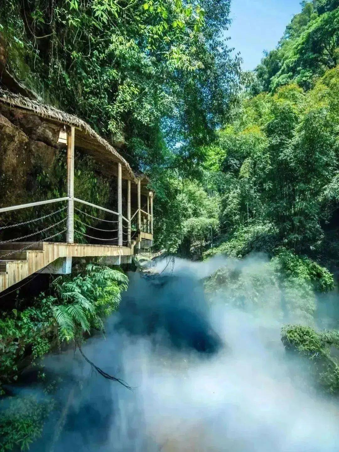 去川西竹海,找深冬里的夏