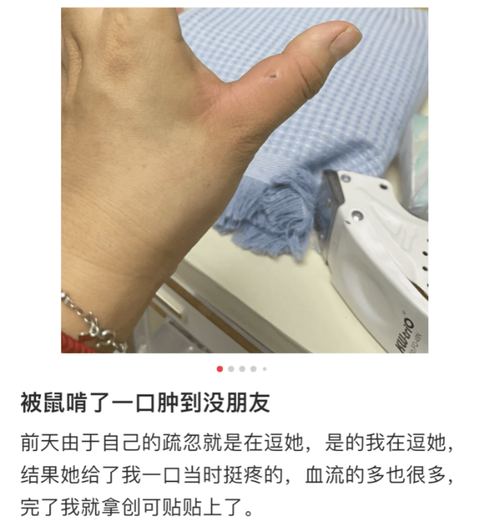 江苏一女子被老鼠咬后反咬老鼠头!医生:没见过先例→_传播_伤口_进行