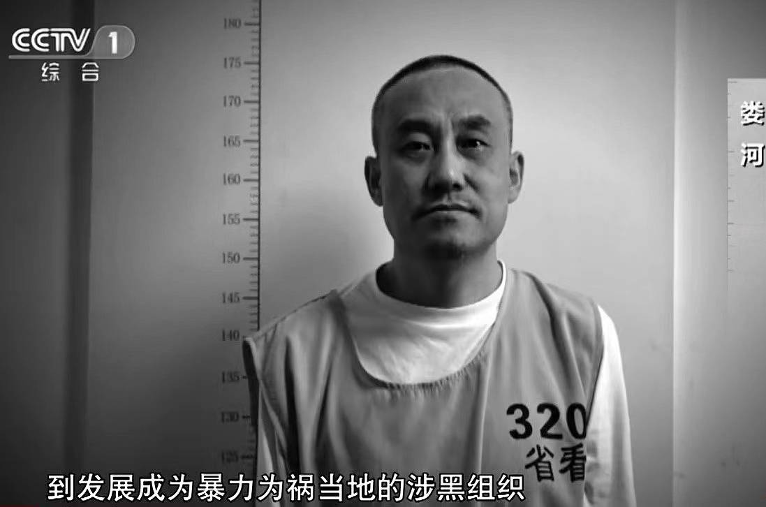 22亿撑起保护伞,造假洗白免刑责