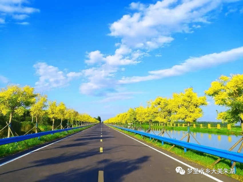 隨後,督察組深入朱湖農場,肖港鎮,臥龍鄉和陡崗鎮,細緻踏看朱湖漢川渠