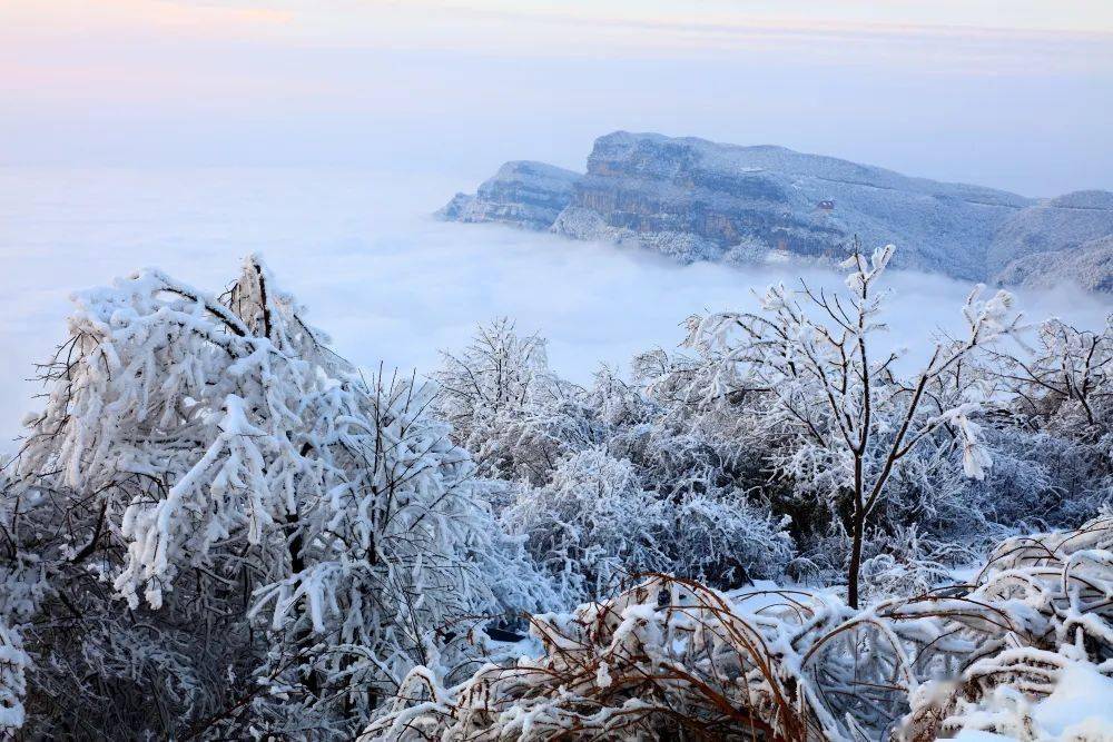 是南方朋友不容錯過的獨特景緻~光霧山景區擁有喀斯特地貌雪景,林海