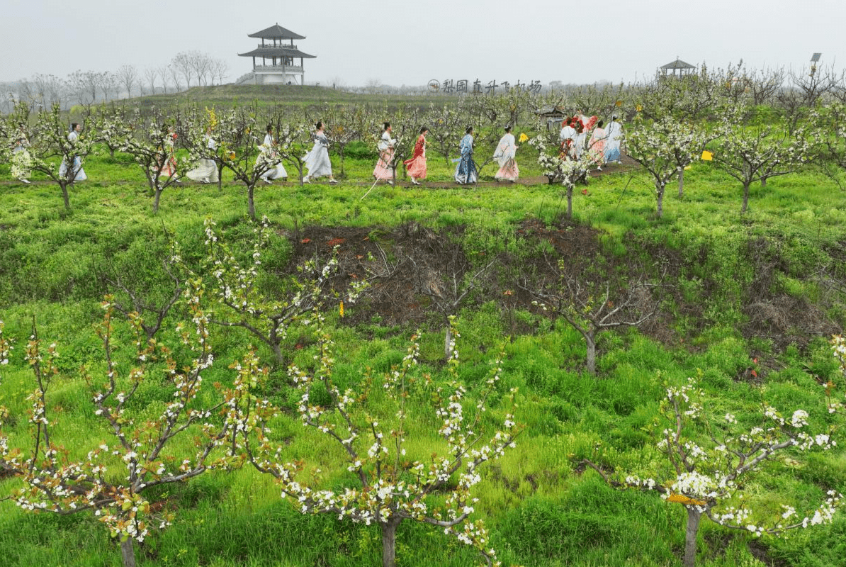 湖南衡陽:美了小院 靚了鄉村 暖了民心_發展_珠暉區_庭院