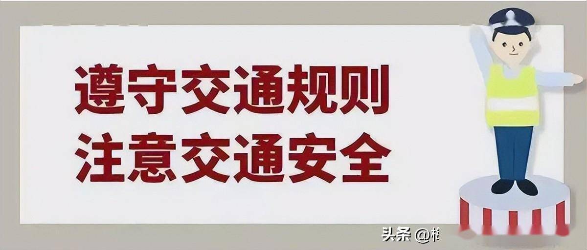 兩公佈一提示 |梅河新區交警發佈2024年元旦假期安全出行提示_公園