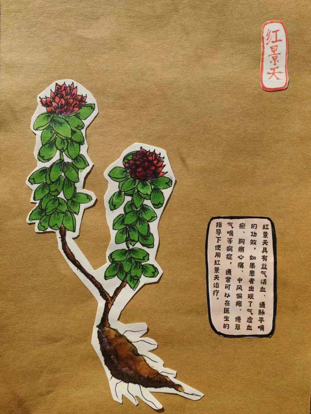 《灵芝》"宝山周末美育课堂"将中国传统文化引入青少年美育课程