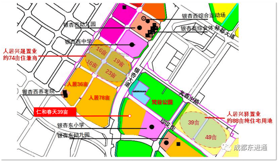 龍泉驛大面仁和銀杏大道39畝總平圖來了_成都_龍泉人_招聘