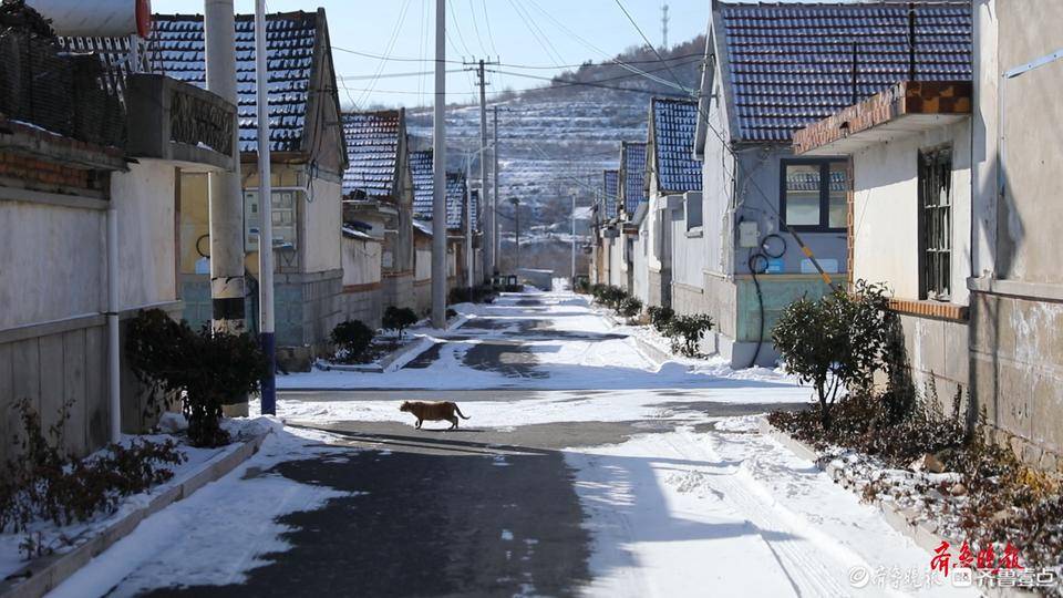 雪後龍角山村