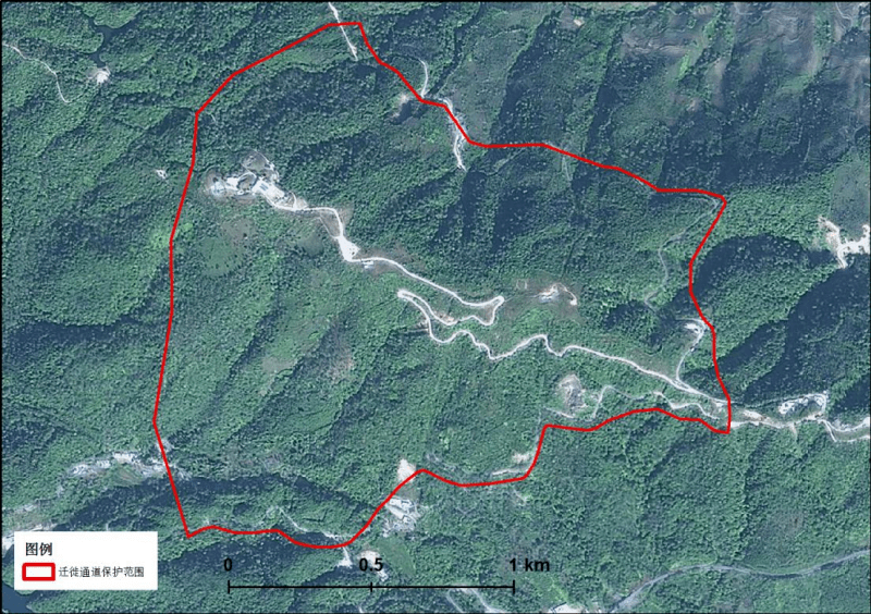 富寧1地!雲南省第一批候鳥遷徙通道重點區域範圍發佈_保護_面積_南澗