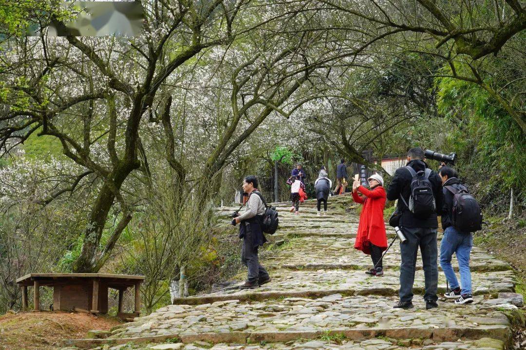 大余精彩文旅活动陪你过元旦!_景区_黄元_赣南