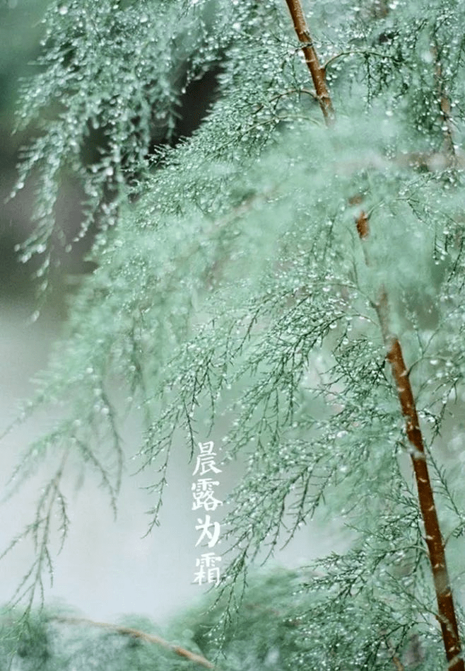 曾國藩_才能_內心