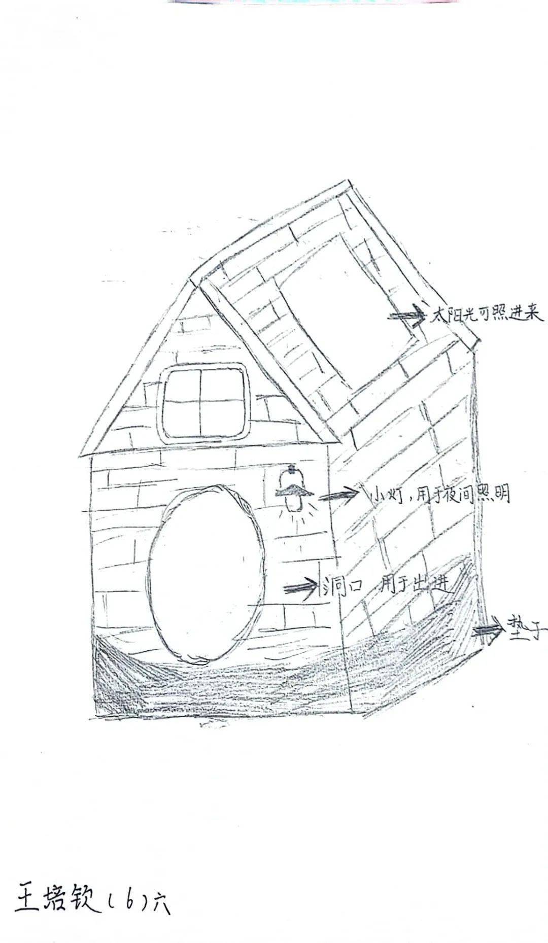 鸟巢结构形式图片