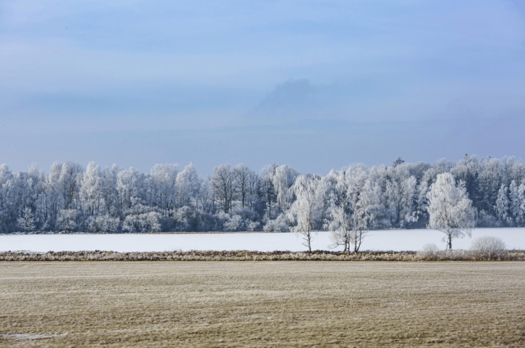 麦子_麦田_时候