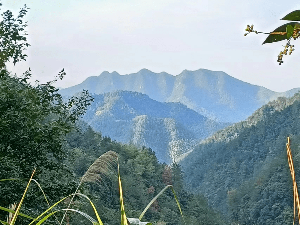 尖山爬九尖山有多個入口都是在獨秀山會合以半月山公園為起點最是方便