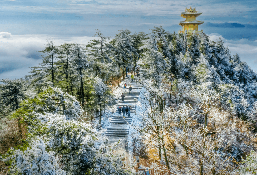 "梦回天姥江南雪" 2024新昌天姥山冬季迎松嘉年华1月1日启动_活动