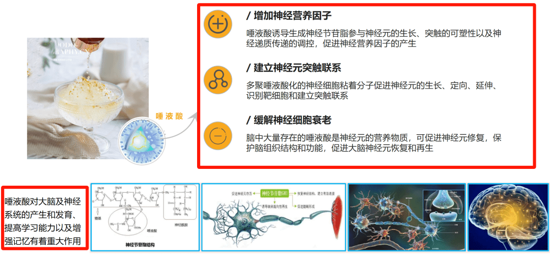 我的